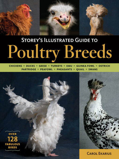 Title details for Storey's Illustrated Guide to Poultry Breeds by Carol Ekarius - Available